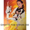 Chay's Tae Kwon Do Icon