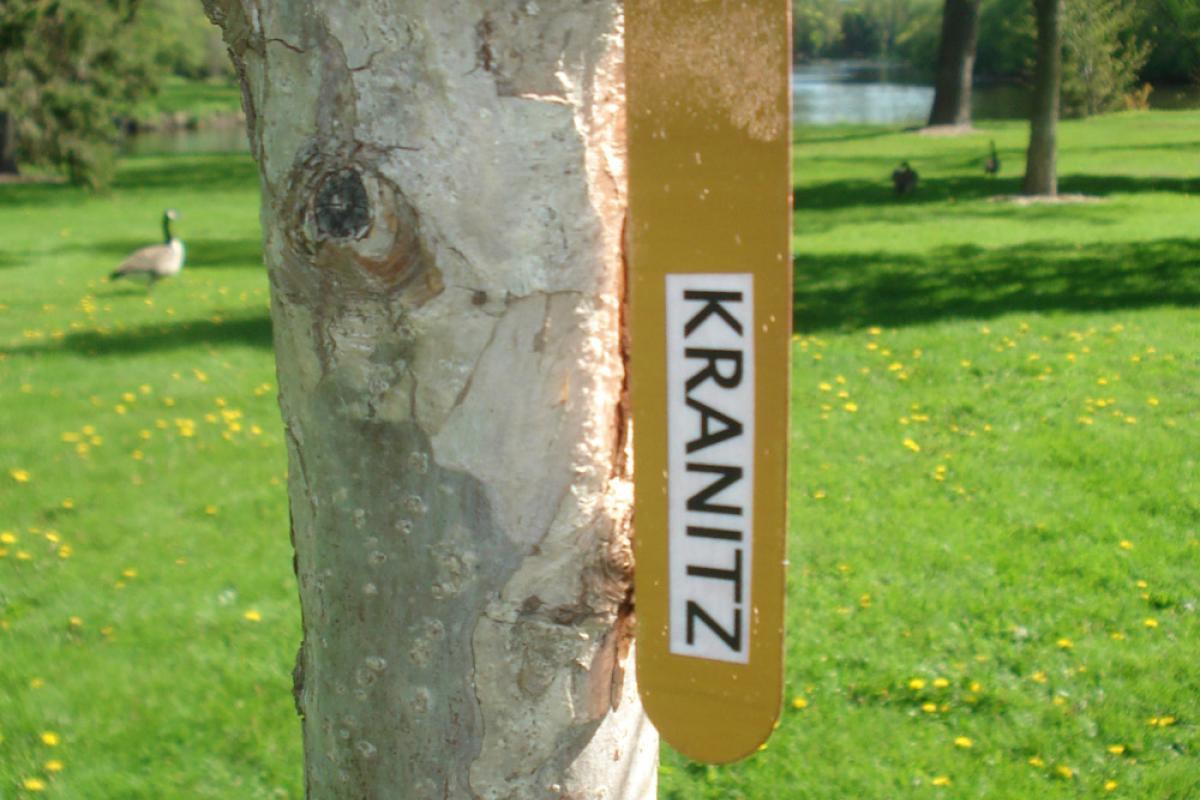 Legacy Program Current Tree Plantings - Kranitz