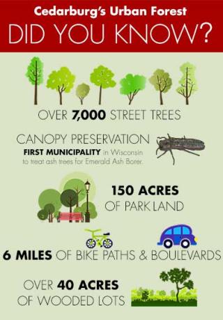 Benefit of Trees