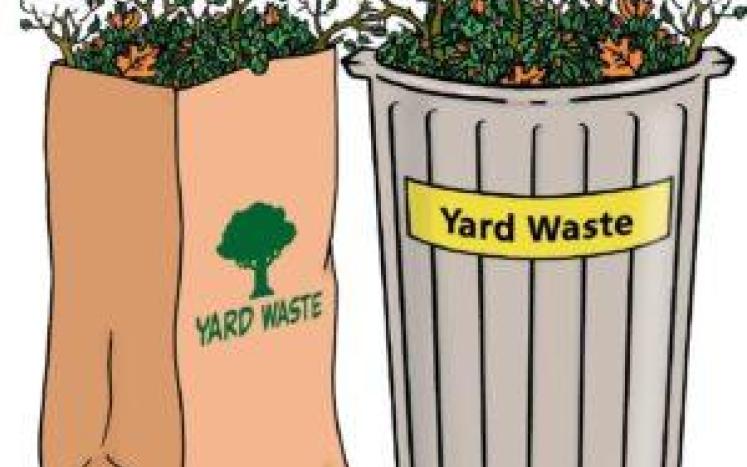 Yard Waste Drop-off